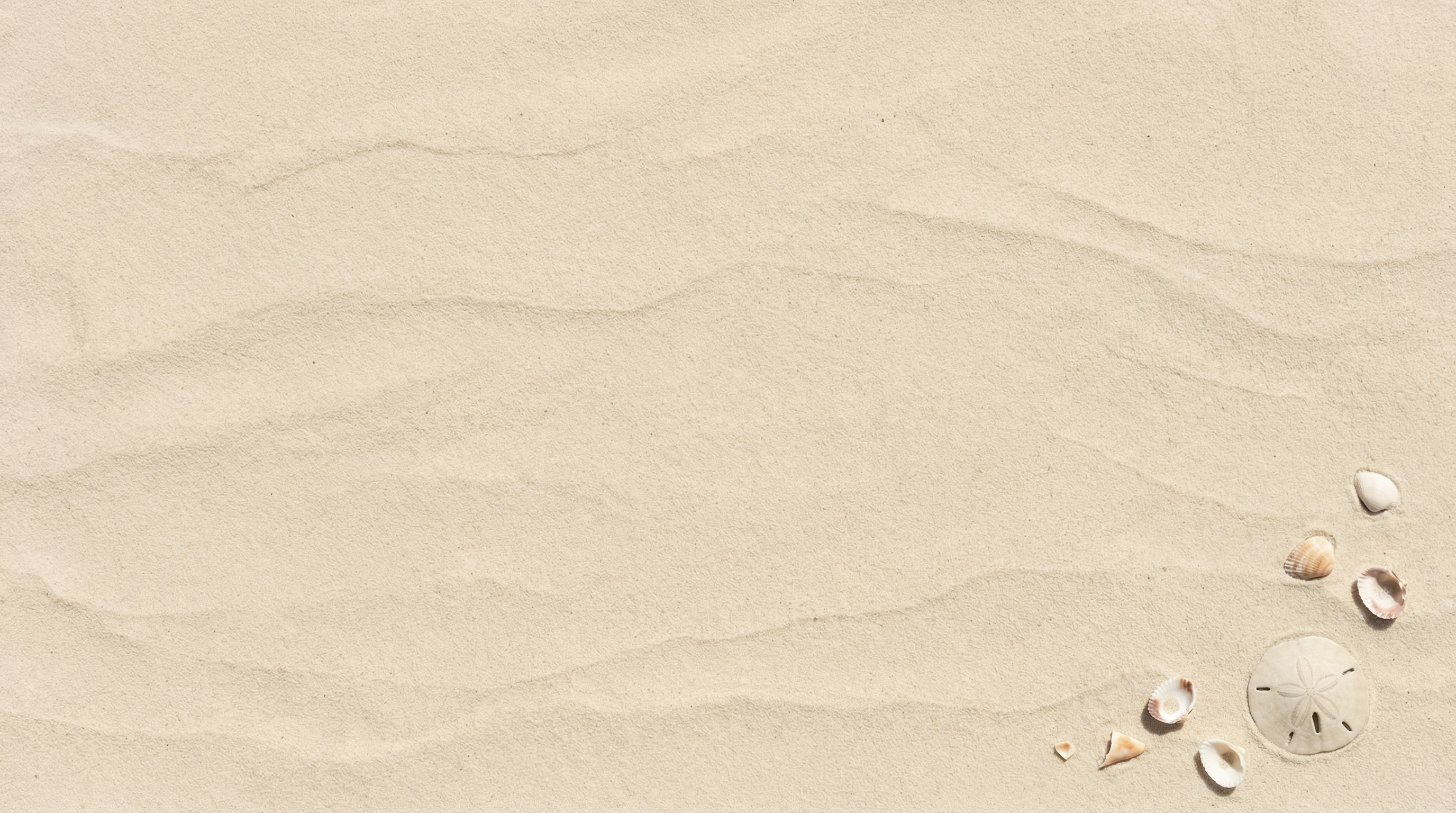 Sand Texture